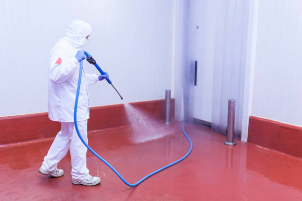 Best Spring Cleaning  in Secaucus, NJ